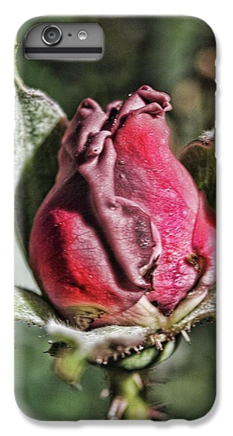 Rosebud In The Morning - Phone Case