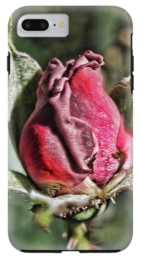 Rosebud In The Morning - Phone Case