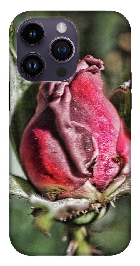 Rosebud In The Morning - Phone Case