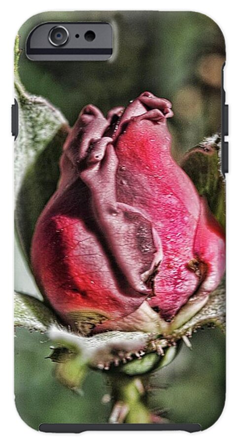 Rosebud In The Morning - Phone Case