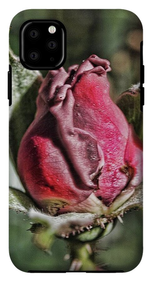 Rosebud In The Morning - Phone Case