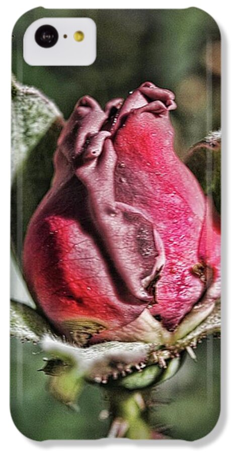 Rosebud In The Morning - Phone Case