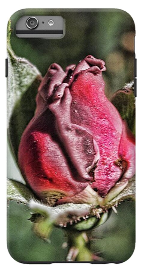 Rosebud In The Morning - Phone Case
