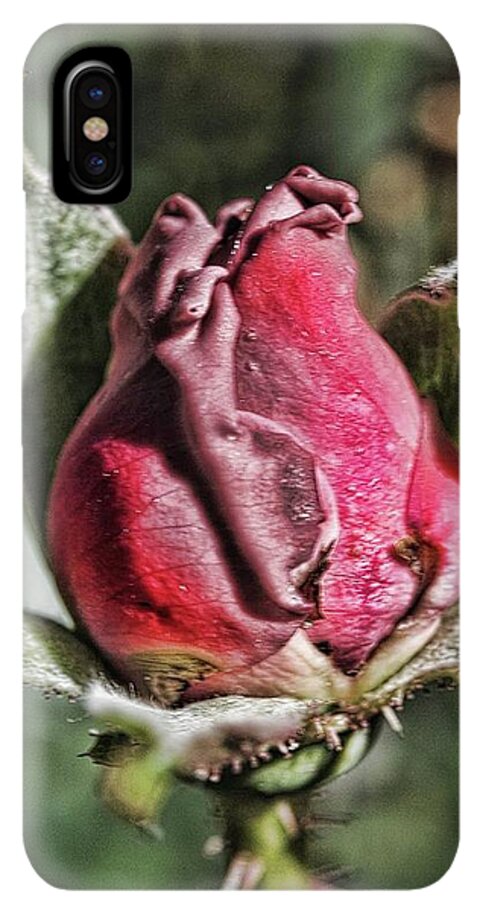 Rosebud In The Morning - Phone Case