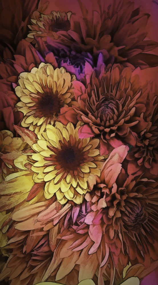 Shelter For Flowers Digital Image Download