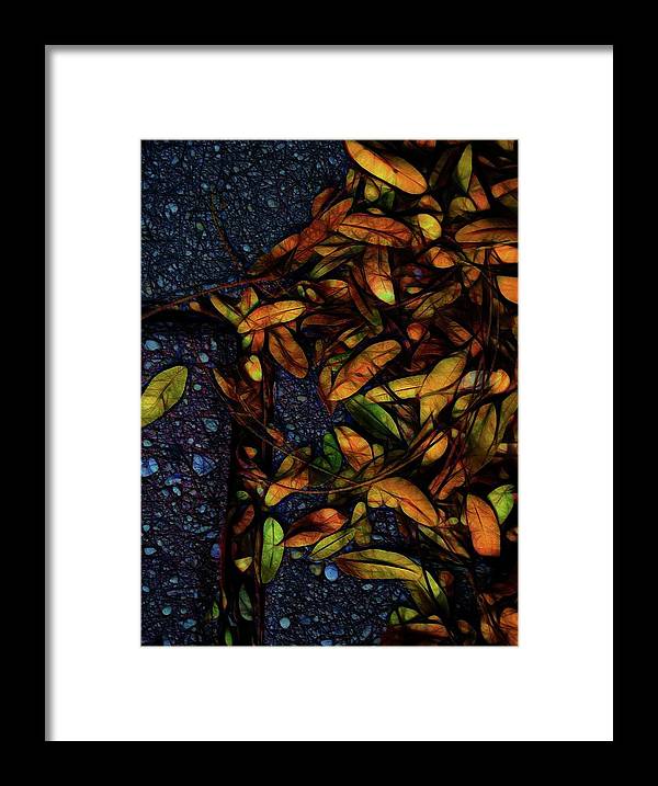 Sidewalk Leaves in Brick - Framed Print
