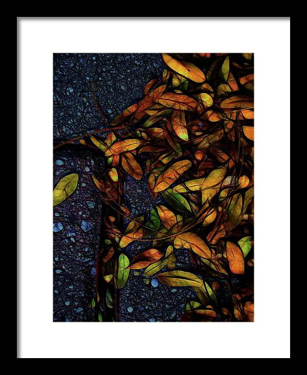 Sidewalk Leaves in Brick - Framed Print