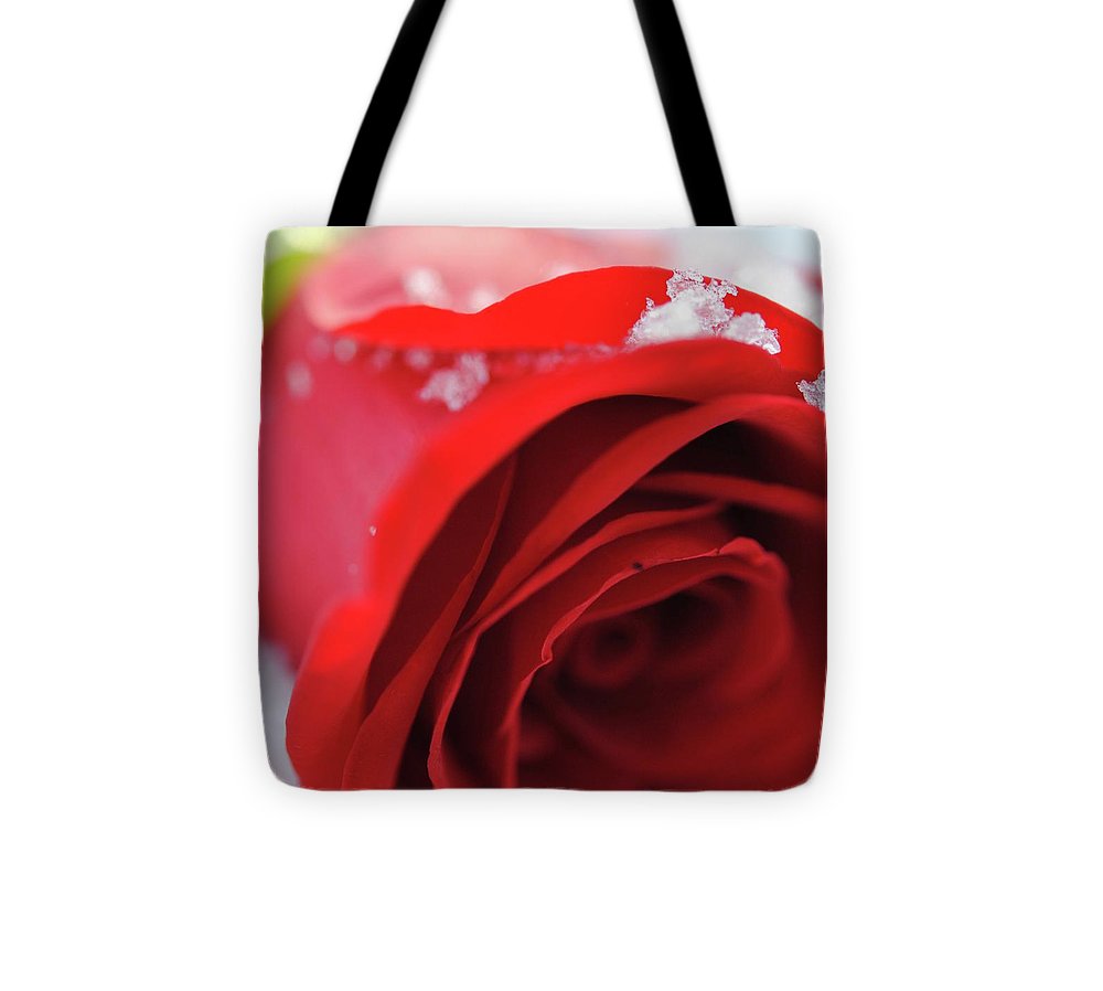 Snow Covered Rose - Tote Bag