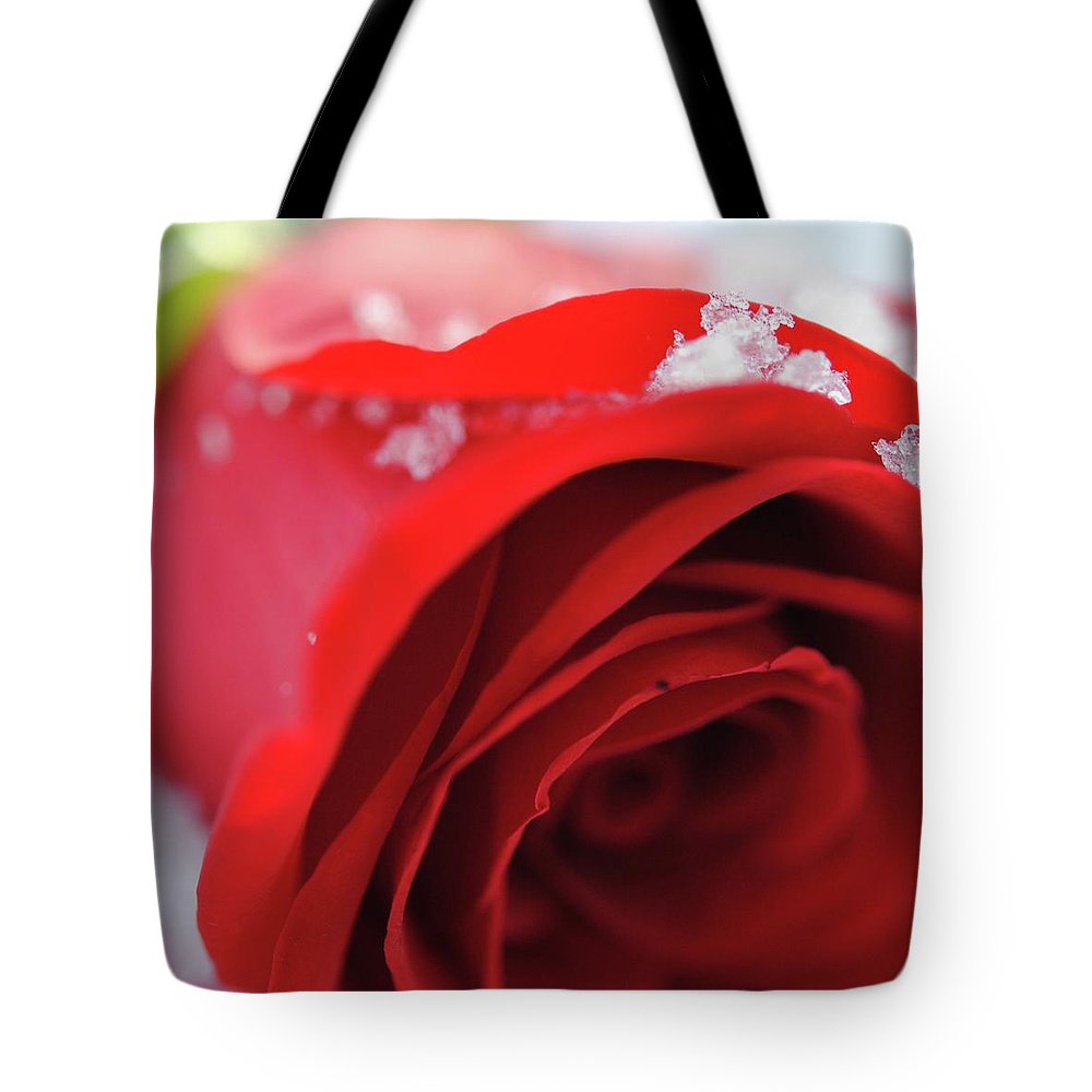 Snow Covered Rose - Tote Bag