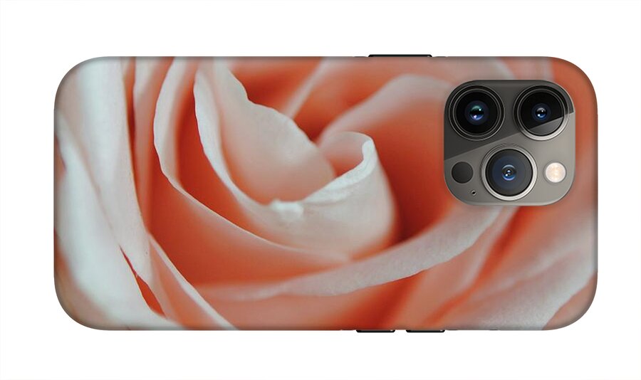 Soft Pink Rose Close Up - Phone Case