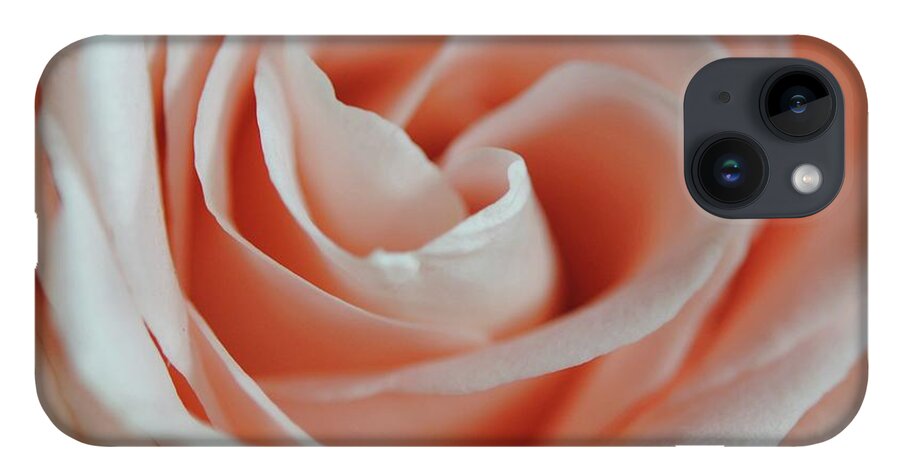 Soft Pink Rose Close Up - Phone Case