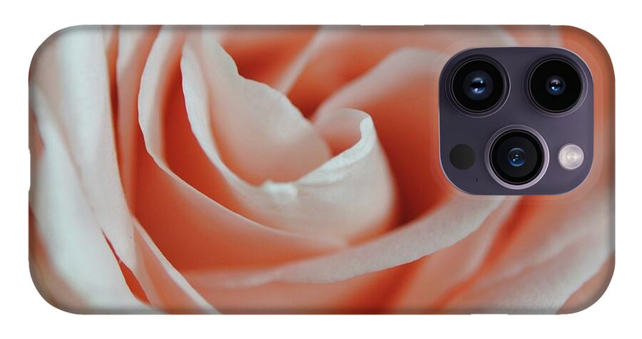 Soft Pink Rose Close Up - Phone Case