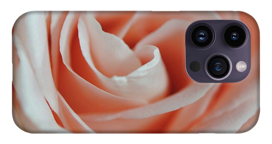 Soft Pink Rose Close Up - Phone Case