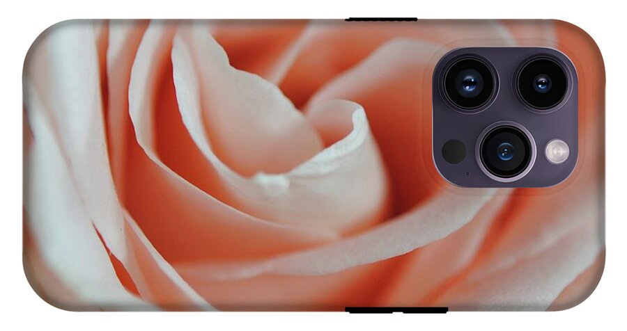 Soft Pink Rose Close Up - Phone Case