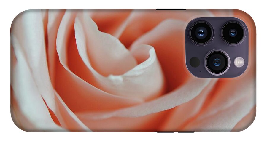 Soft Pink Rose Close Up - Phone Case