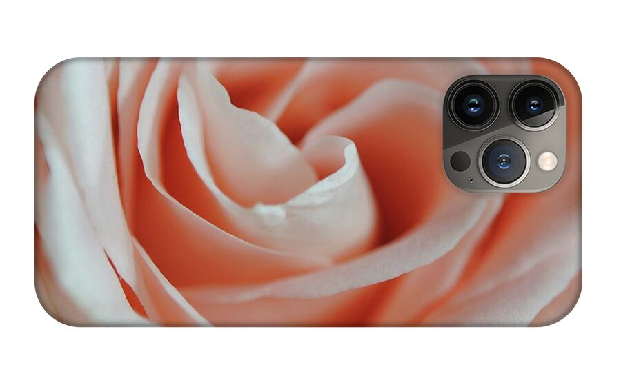 Soft Pink Rose Close Up - Phone Case