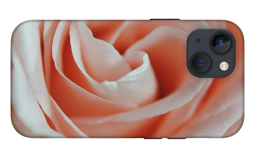 Soft Pink Rose Close Up - Phone Case