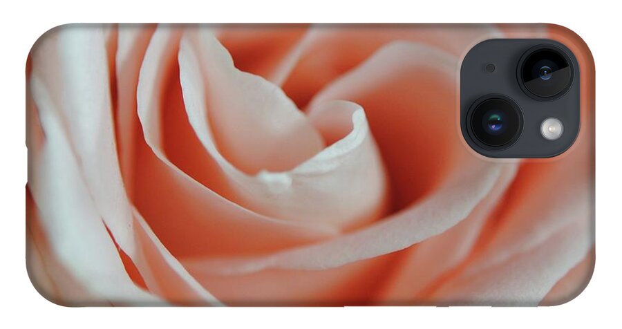 Soft Pink Rose Close Up - Phone Case