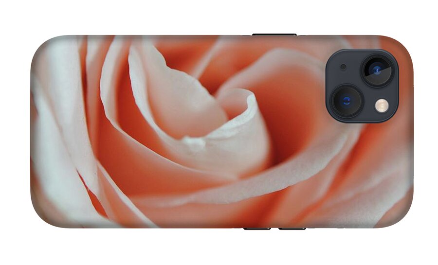Soft Pink Rose Close Up - Phone Case