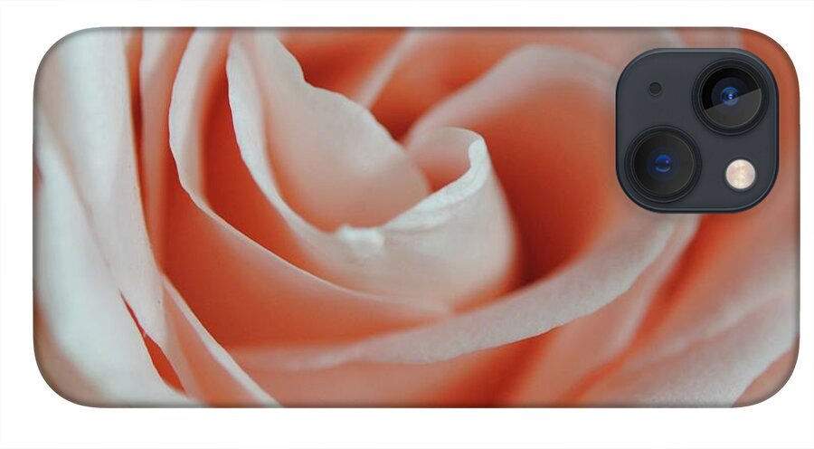 Soft Pink Rose Close Up - Phone Case