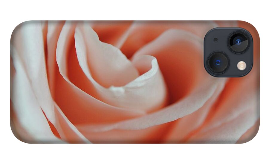 Soft Pink Rose Close Up - Phone Case