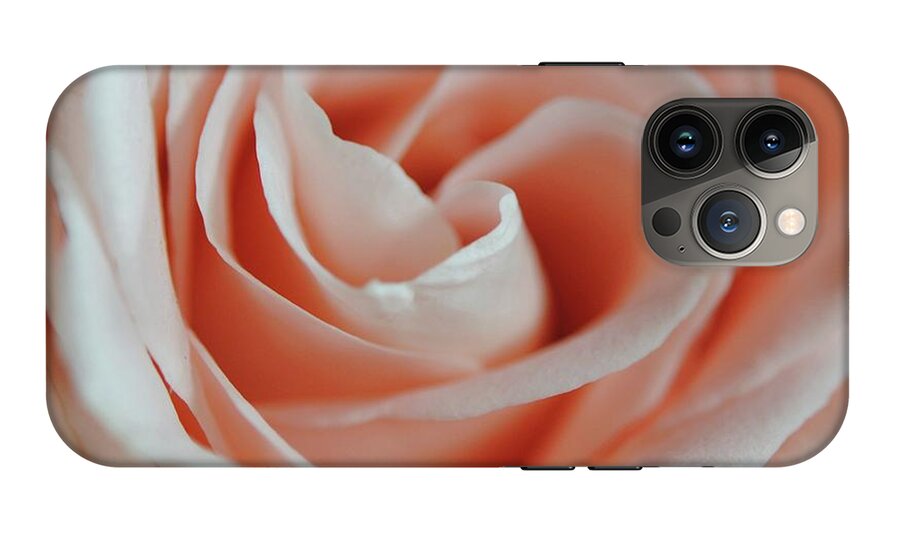 Soft Pink Rose Close Up - Phone Case