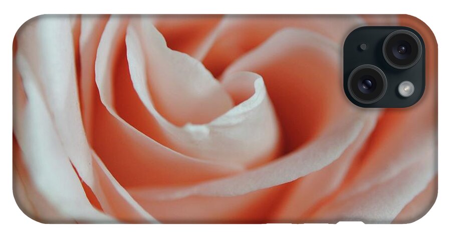 Soft Pink Rose Close Up - Phone Case