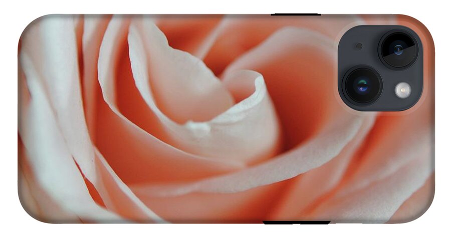 Soft Pink Rose Close Up - Phone Case