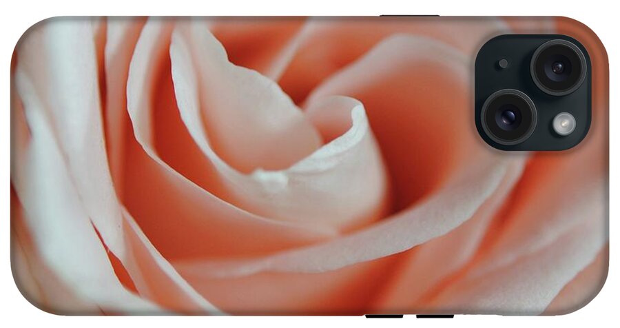 Soft Pink Rose Close Up - Phone Case