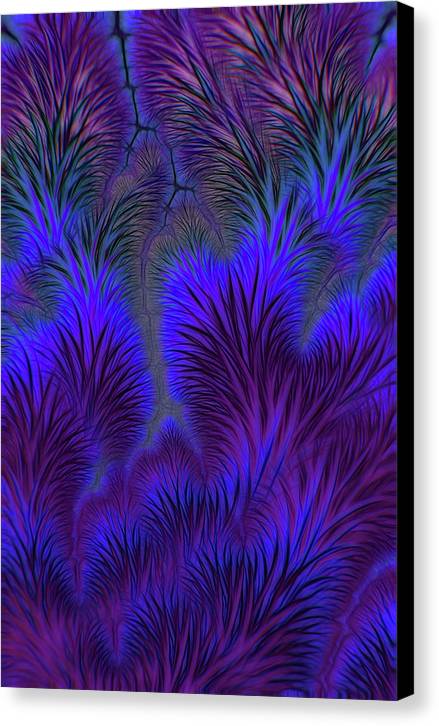 Soft Prickly - Canvas Print