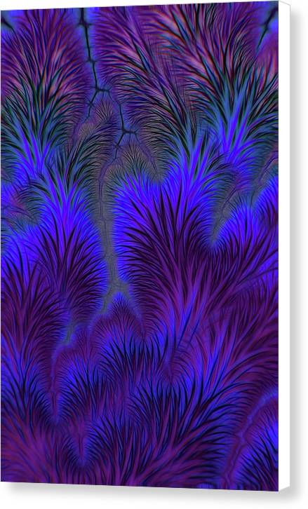 Soft Prickly - Canvas Print