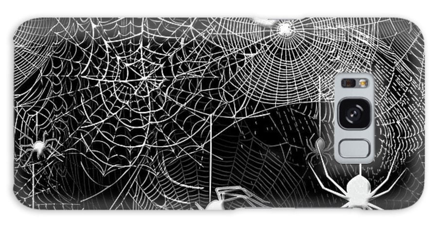 Spider Webs Pattern - Phone Case