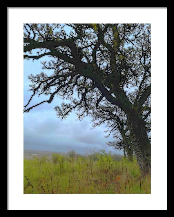 Spring Tree Buds - Framed Print