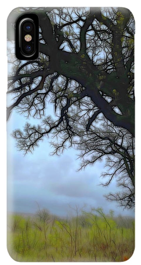 Spring Tree Buds - Phone Case