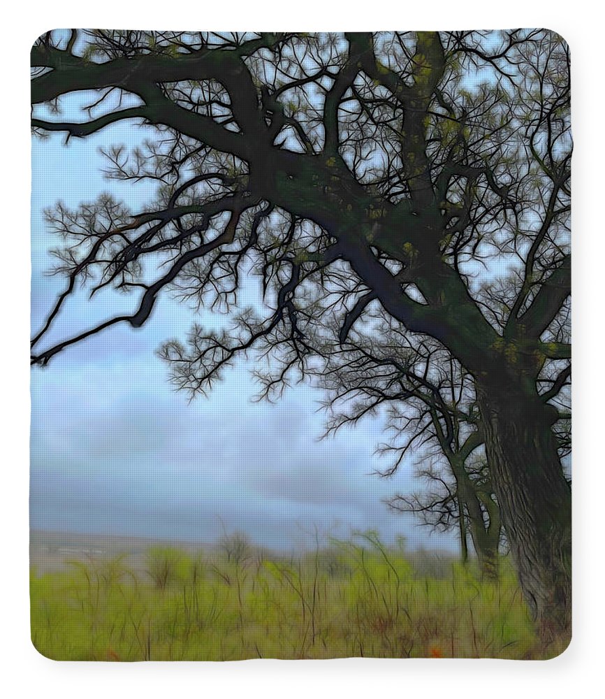 Spring Tree Buds - Blanket
