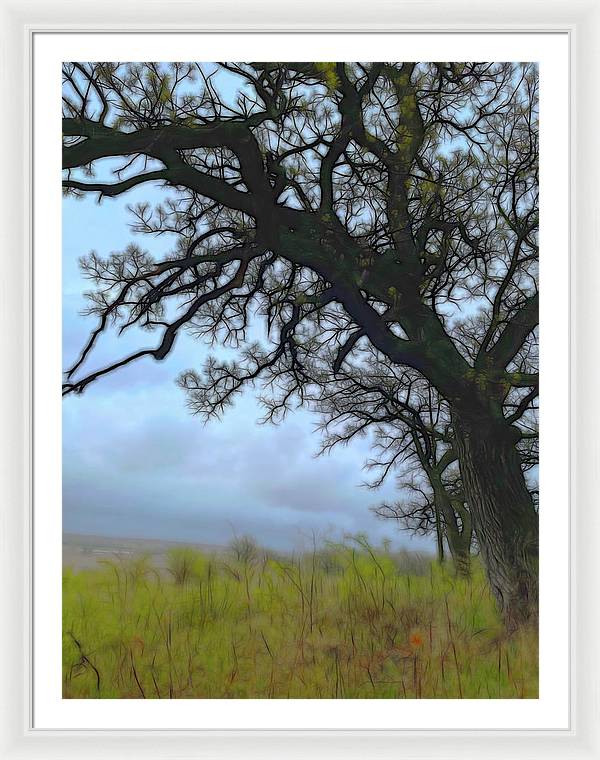 Spring Tree Buds - Framed Print