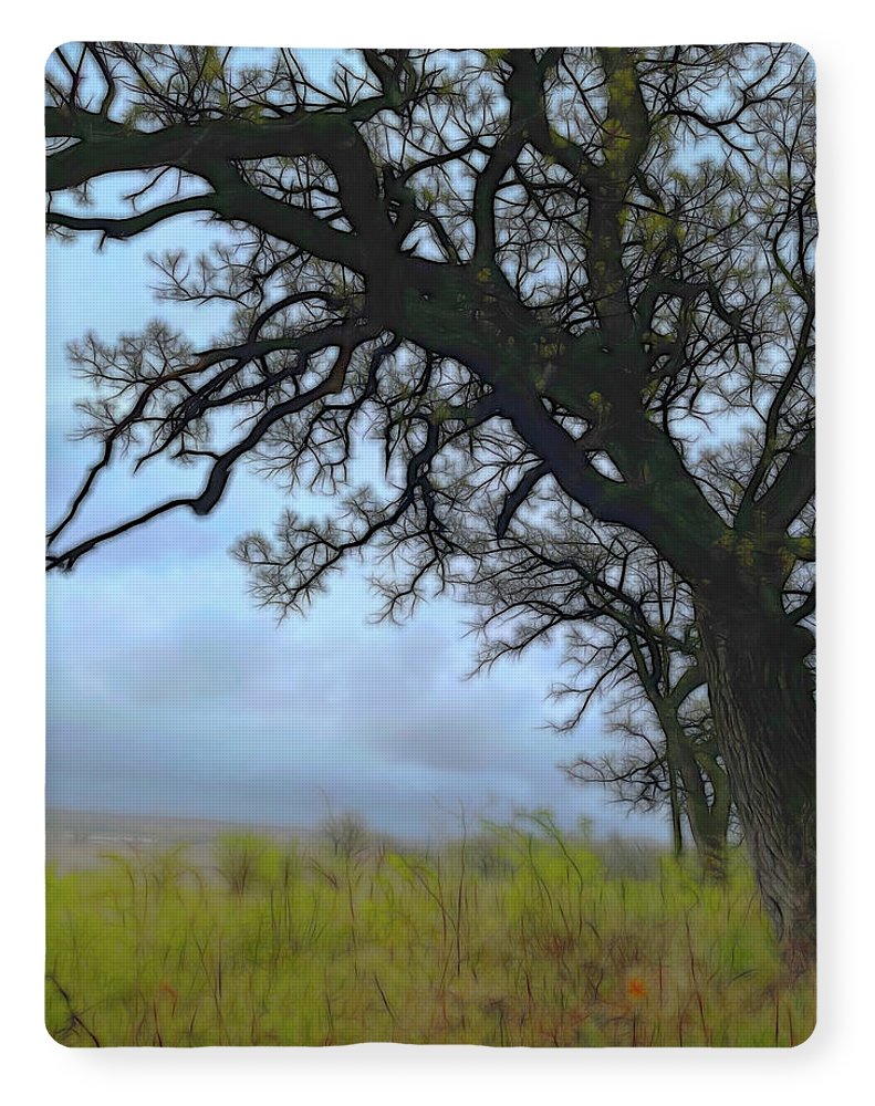 Spring Tree Buds - Blanket