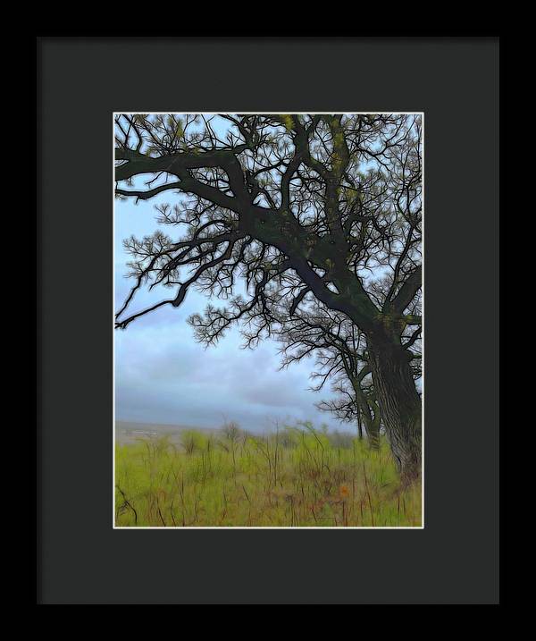 Spring Tree Buds - Framed Print