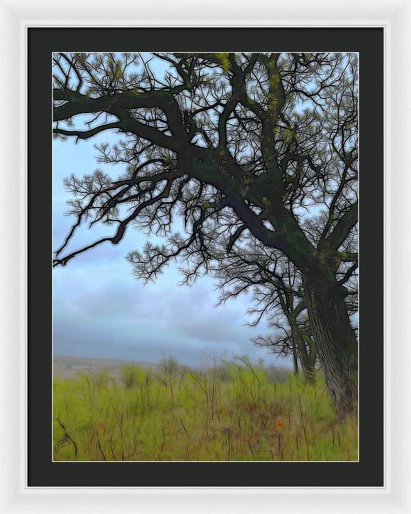 Spring Tree Buds - Framed Print