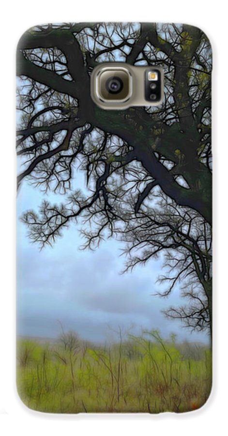 Spring Tree Buds - Phone Case
