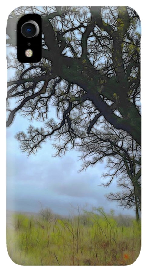 Spring Tree Buds - Phone Case