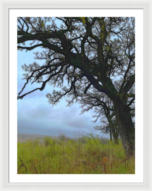 Spring Tree Buds - Framed Print