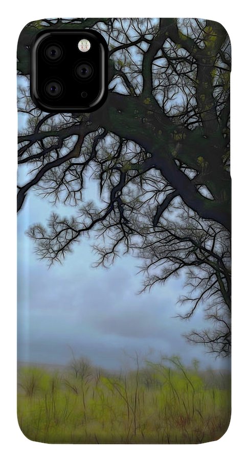 Spring Tree Buds - Phone Case