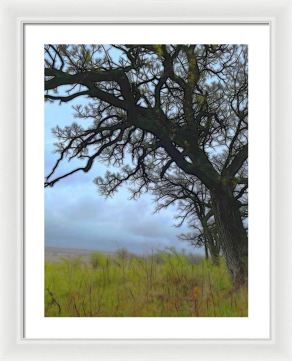 Spring Tree Buds - Framed Print