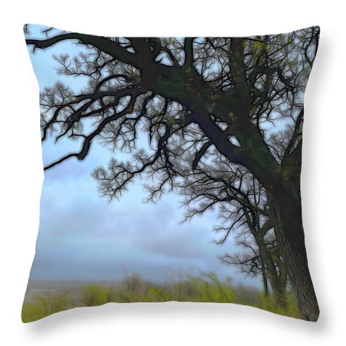 Spring Tree Buds - Throw Pillow