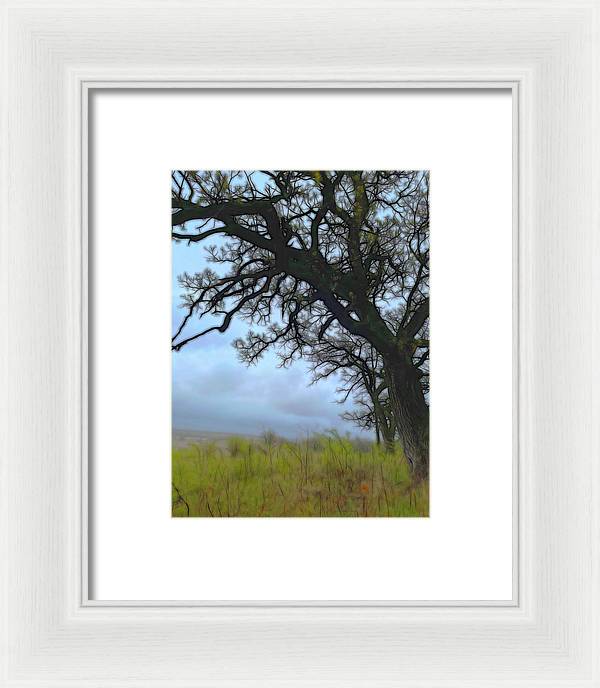 Spring Tree Buds - Framed Print