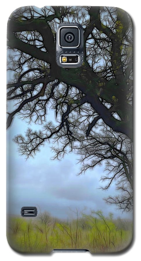 Spring Tree Buds - Phone Case