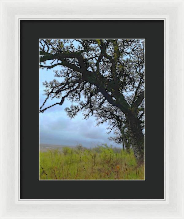Spring Tree Buds - Framed Print
