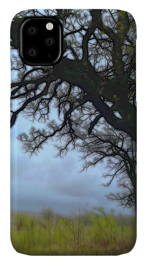 Spring Tree Buds - Phone Case