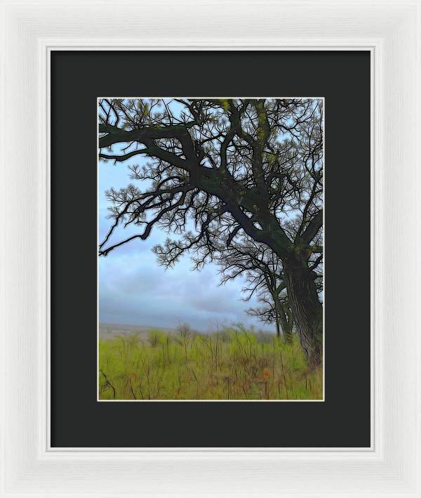 Spring Tree Buds - Framed Print